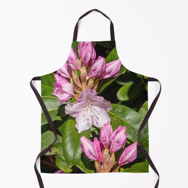Item preview, Rhododendron buds. designed and sold by Anne Scantlebury.