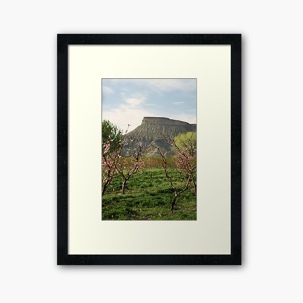 Item preview, Palisade, Colorado Peach Blossoms designed and sold by rwhitney22.