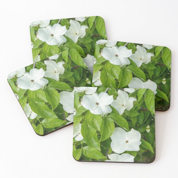 Item preview, White Dogwood Flowers. designed and sold by Anne Scantlebury.