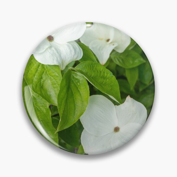 Item preview, White Dogwood Flowers. designed and sold by Anne Scantlebury.