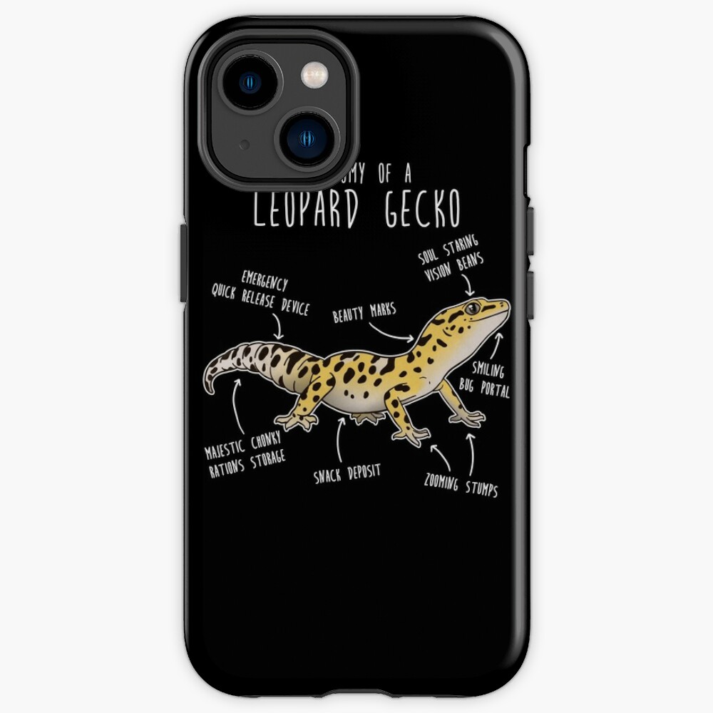 Anatomy of a Leopard Gecko