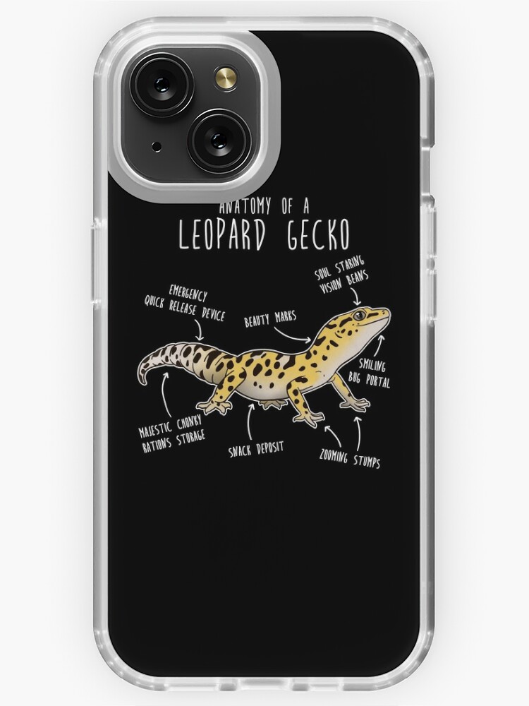 Anatomy of a Leopard Gecko iPhone Case for Sale by Clara Hollins