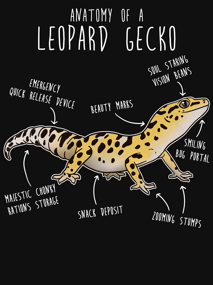 Anatomy of a Leopard Gecko Lightweight Hoodie for Sale by Clara Hollins Redbubble