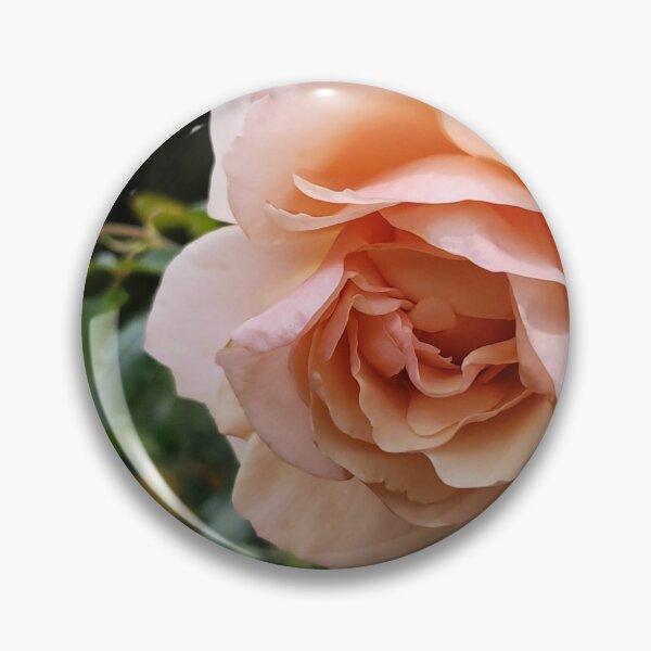 Item preview, Pink Rose designed and sold by EarthIndulge.
