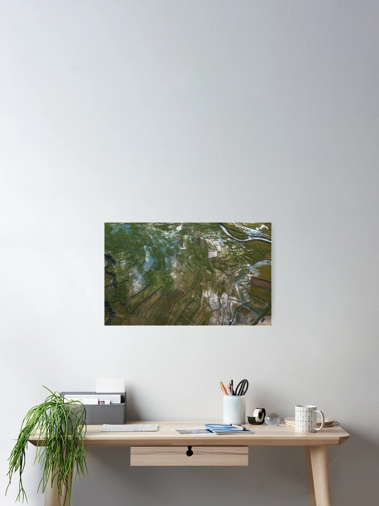 Thumbnail 2 of 3, Poster, The Rice Field designed and sold by Jacob Simkin.