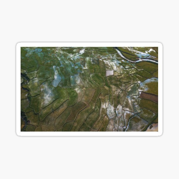 The Rice Field Sticker