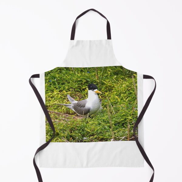 Item preview, Crested Tern and Chick, Australia designed and sold by StevenRalserPhoto.
