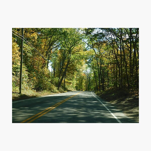 Green Summer Road Photographic Print