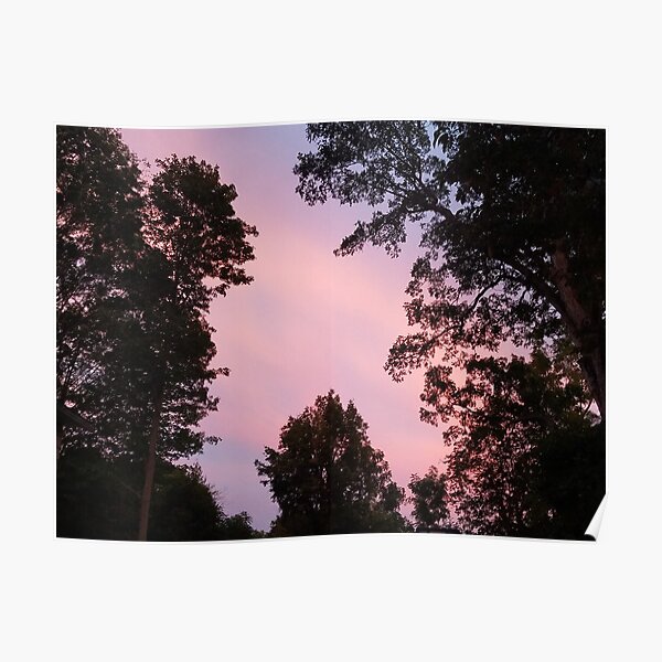 Pink Sunset Poster