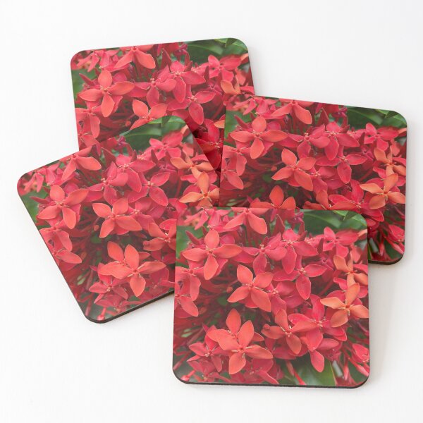 Aperçu de l'œuvre Fleurs de couleur rouge et orange créée et vendue par Sinemathk.