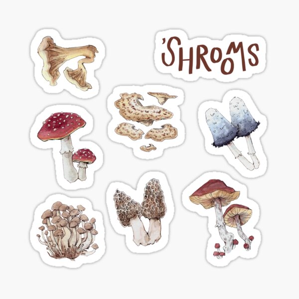 Item preview, Mushroom Sticker Pack designed and sold by psithurismart.