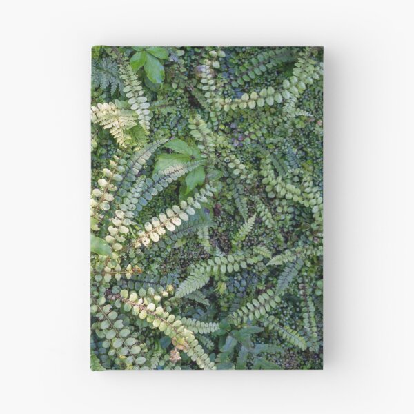 Item preview, Kiwakiwa fern. designed and sold by Anne Scantlebury.