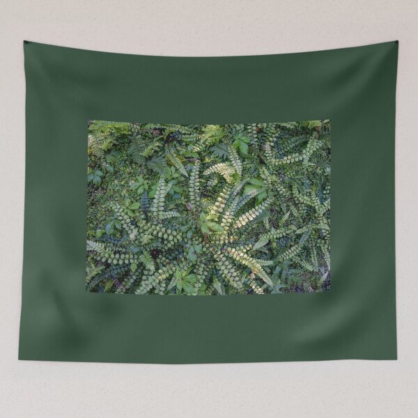 Item preview, Kiwakiwa fern. designed and sold by Anne Scantlebury.