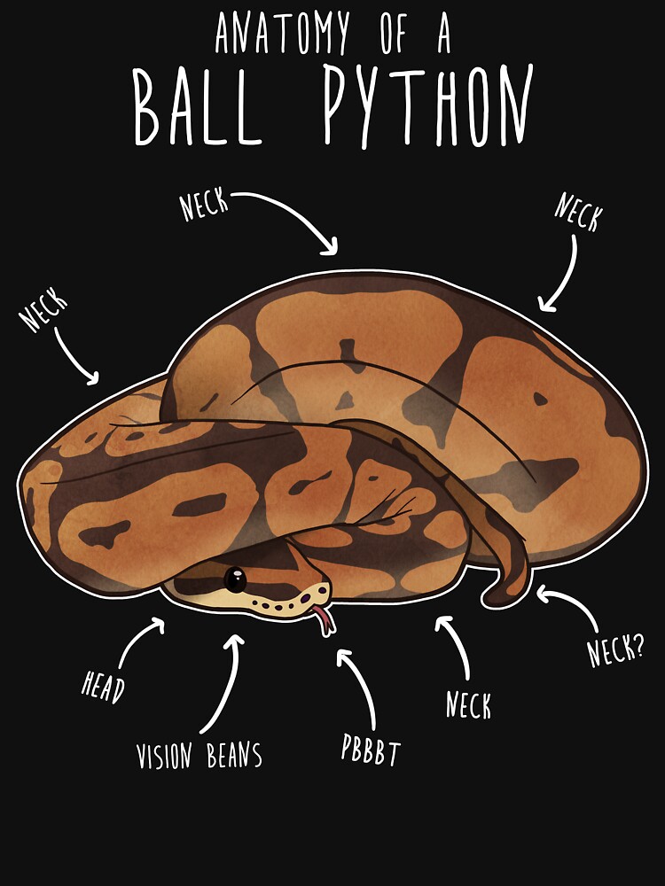 "Anatomy of a Ball Python" Tshirt for Sale by Psitta Redbubble