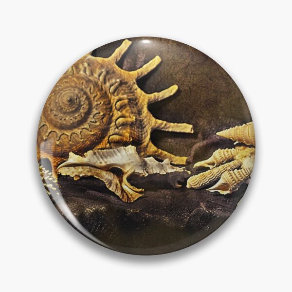 coquillage Badge