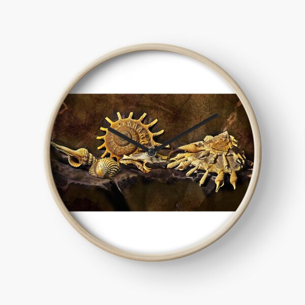 coquillage Horloge