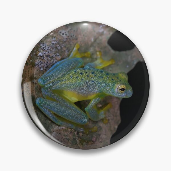 Item preview, Granular Glass Frog designed and sold by mlorenz.