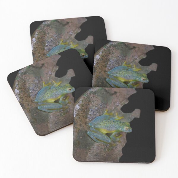 Item preview, Granular Glass Frog designed and sold by mlorenz.