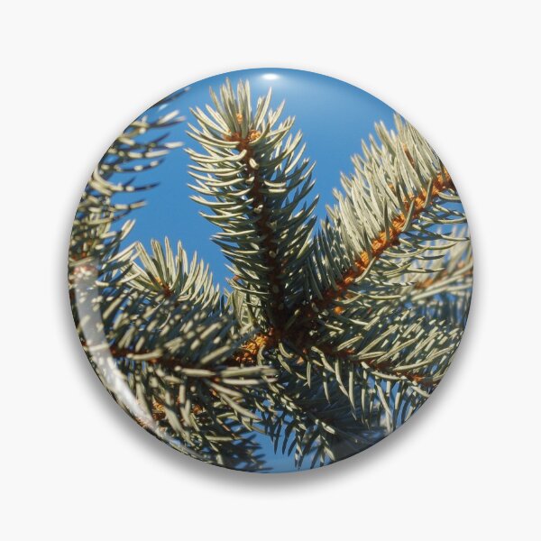 Item preview, All spruced up and still blue - Blue spruce, blue sky designed and sold by rvjames.