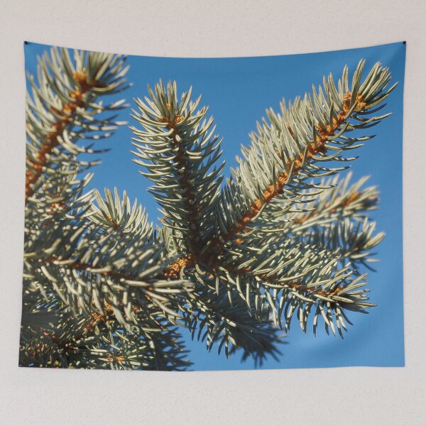 Item preview, All spruced up and still blue - Blue spruce, blue sky designed and sold by rvjames.