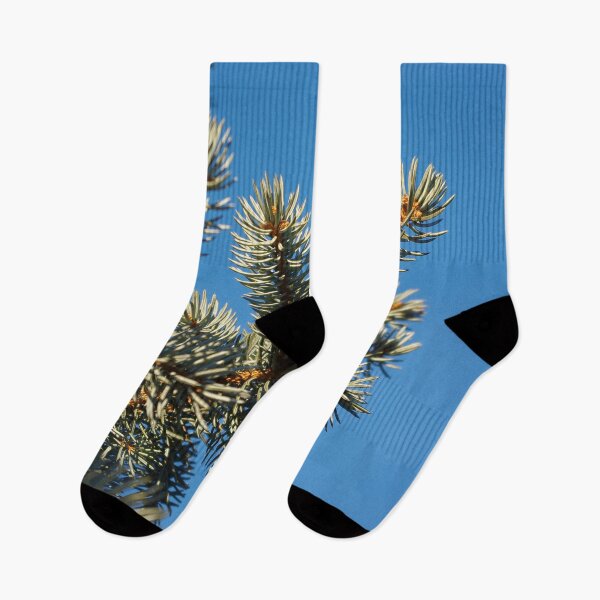 Item preview, All spruced up and still blue - Blue spruce, blue sky designed and sold by rvjames.