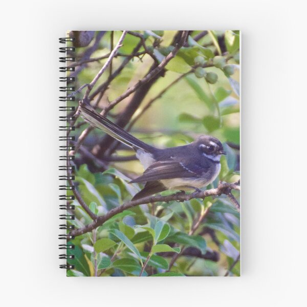 Item preview, FANTAIL ~ Grey Fantail NCkCaWvK by David Irwin designed and sold by tasmanianartist.