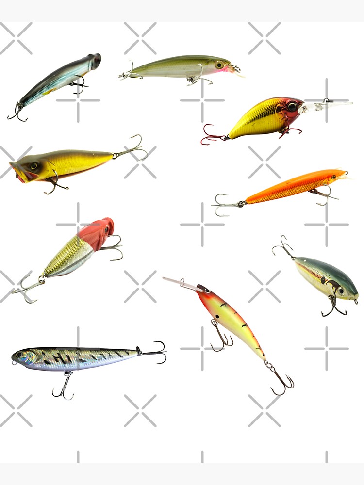 Fishing Lures Saltwater Freshwater Treble Hooks Plugs Swimmers Tackle Box |  Mounted Print