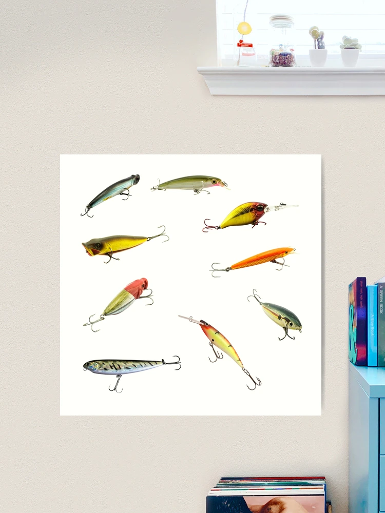 Fishing Lures Saltwater Freshwater Treble Hooks Plugs Swimmers Tackle Box Art  Print for Sale by CBCreations73