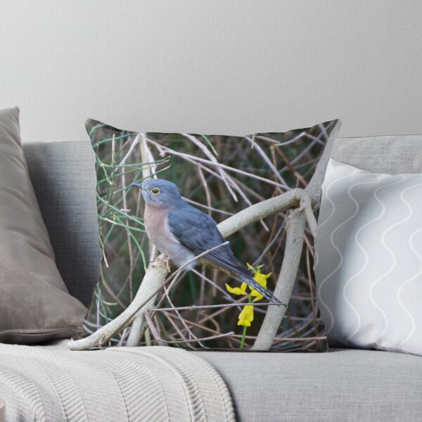 Item preview, CUCKOO ~ Fan-tailed Cuckoo MESXUZJX by David Irwin designed and sold by tasmanianartist.