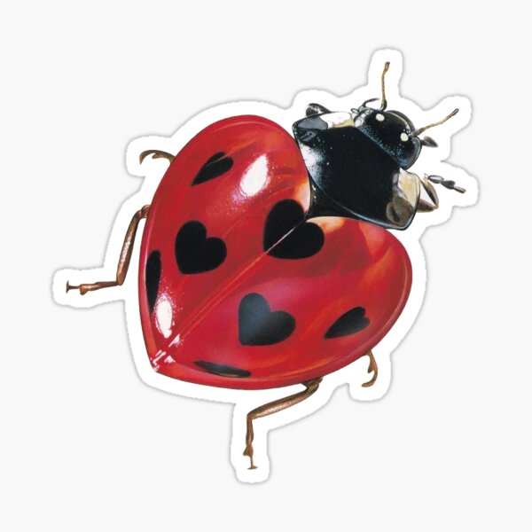 Ladybug Set of 3 Sticker for Sale by Mkramermardis