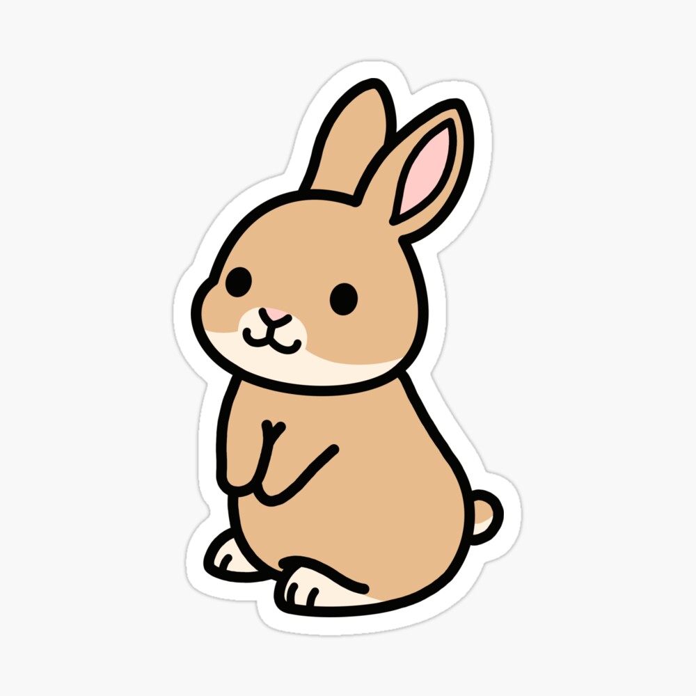 Brown Bunny