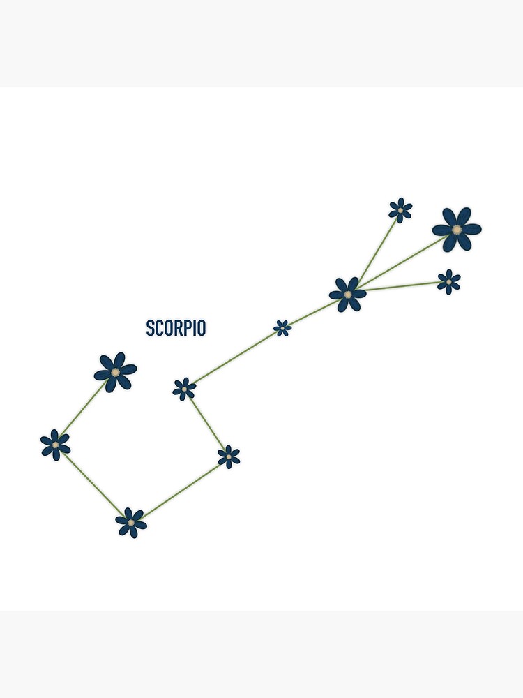 "Scorpio Flower Sign" Poster for Sale by LivyAnn921 Redbubble