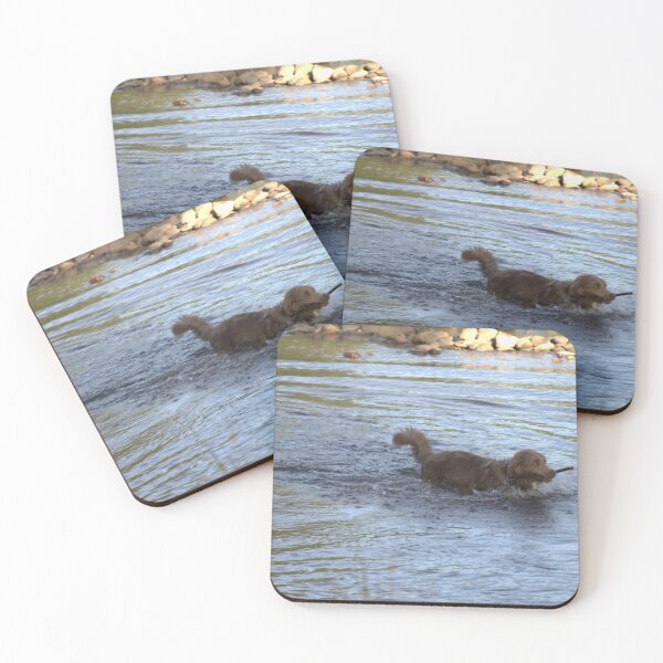 Item preview, Hot summers morning to play fetch in the river. designed and sold by ndarby1.