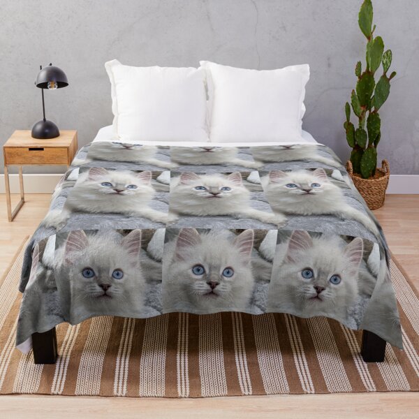 Item preview, Copy of Lynx ragdoll kitten designed and sold by Fluffycat2020.