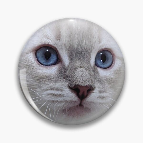 Item preview, Copy of Copy of Lynx ragdoll kitten designed and sold by Fluffycat2020.