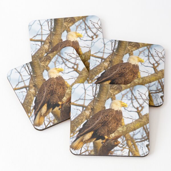 Item preview, Chandler the Eagle designed and sold by KDartisticeye.