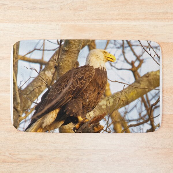 Item preview, Chandler the Eagle designed and sold by KDartisticeye.