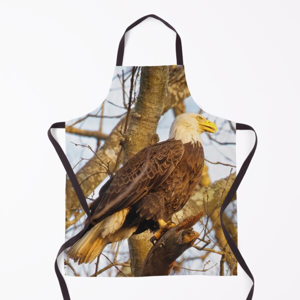 Item preview, Chandler the Eagle designed and sold by KDartisticeye.