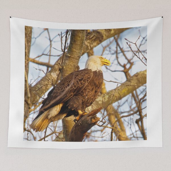 Item preview, Chandler the Eagle designed and sold by KDartisticeye.