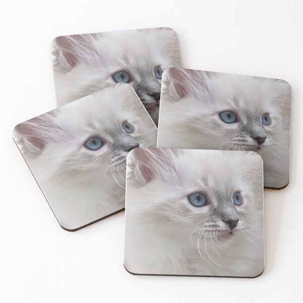 Item preview, Copy of Copy of Copy of Lynx ragdoll kitten designed and sold by Fluffycat2020.