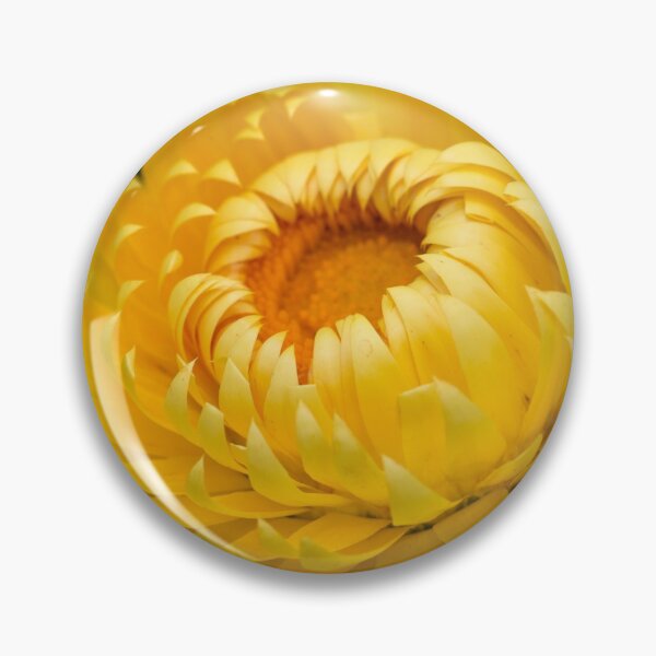 Item preview, Sunshine designed and sold by bunyipdesigns.