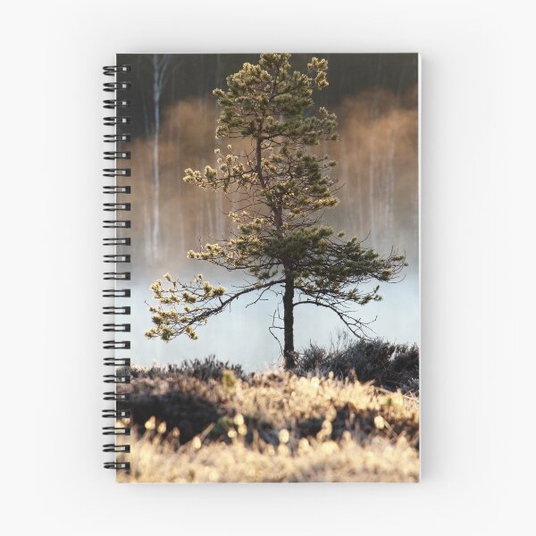 Item preview, 2.5.2016: Pine Tree designed and sold by Petri Volanen.
