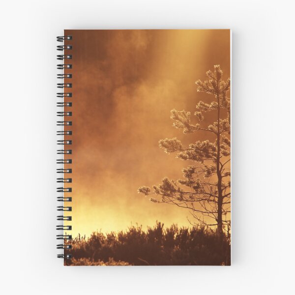 Item preview, 2.5.2016: Pine Tree II designed and sold by Petri Volanen.