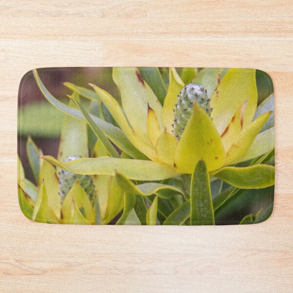 Item preview, Leucadendron designed and sold by bunyipdesigns.