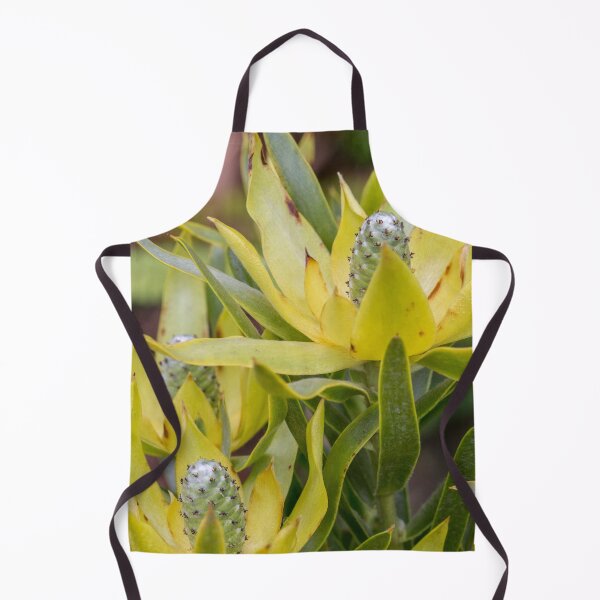 Item preview, Leucadendron designed and sold by bunyipdesigns.