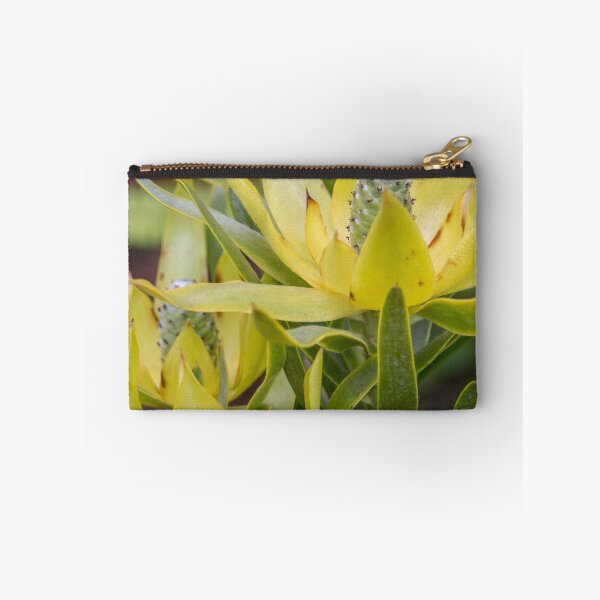 Item preview, Leucadendron designed and sold by bunyipdesigns.