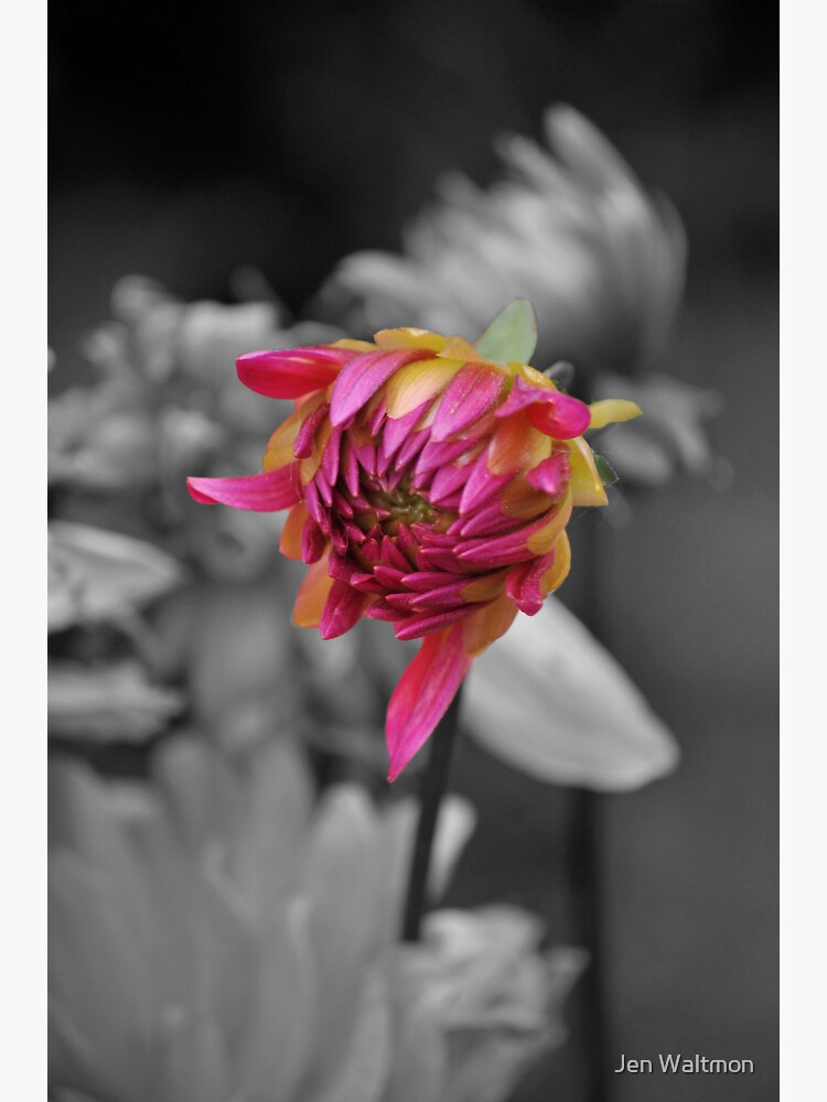 Thumbnail 3 of 3, Sticker, Open, Open, Open designed and sold by Jdubphotog.