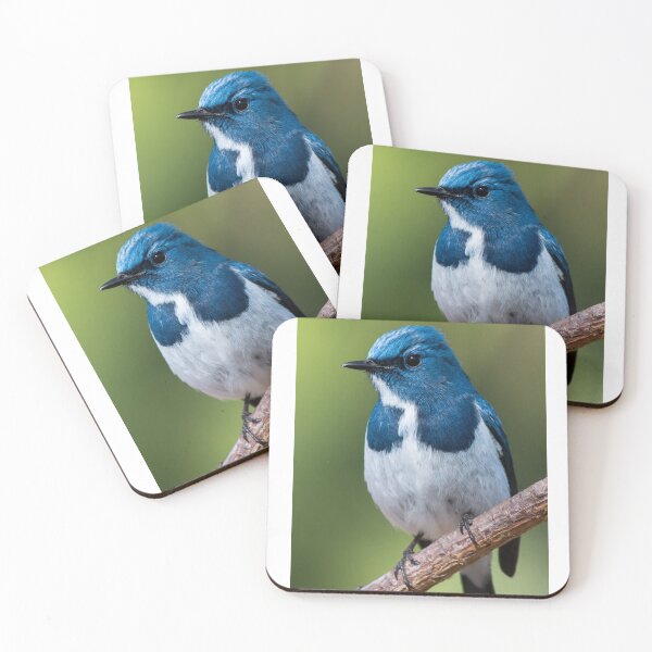 Item preview, Blue Bird designed and sold by HnLStore.