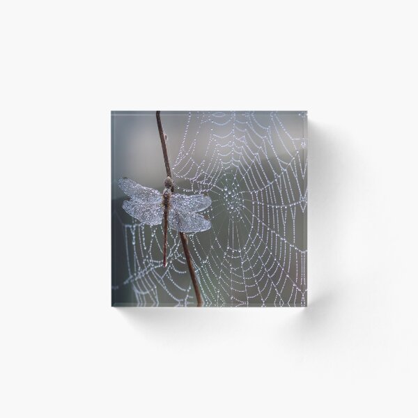 Item preview, The Dragonfly on a dewy morning designed and sold by LynMartinArt.