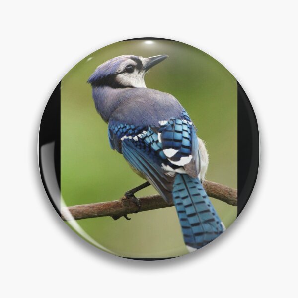 Artikelvorschau, Schöner Vogel entworfen und verkauft von HnLStore.